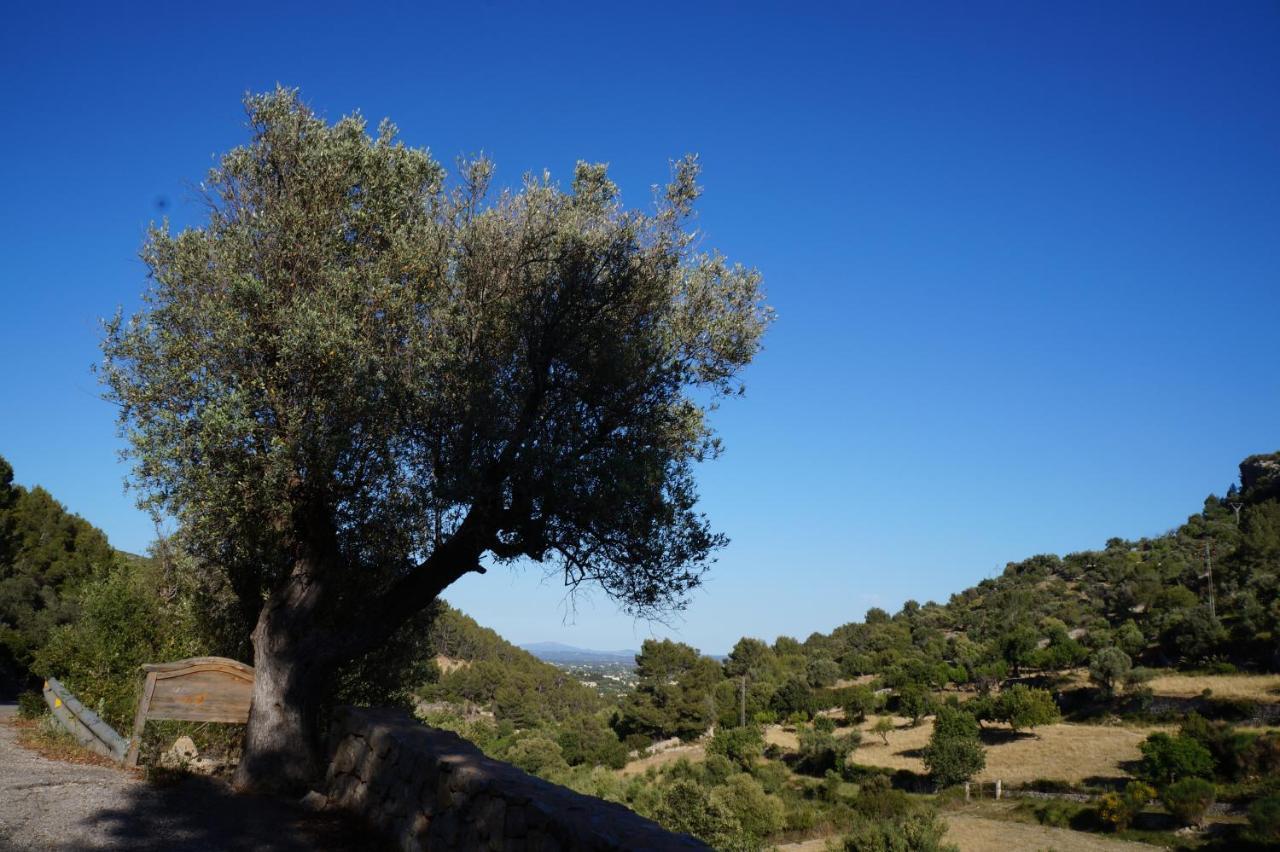 Agroturismo Finca Can Sec Alaró Extérieur photo